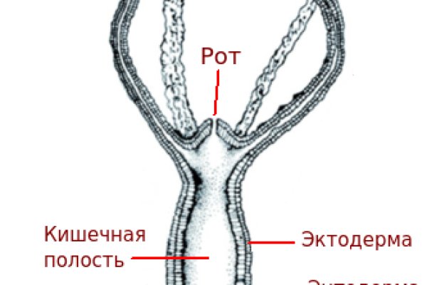 Кракен ссылка купить соли